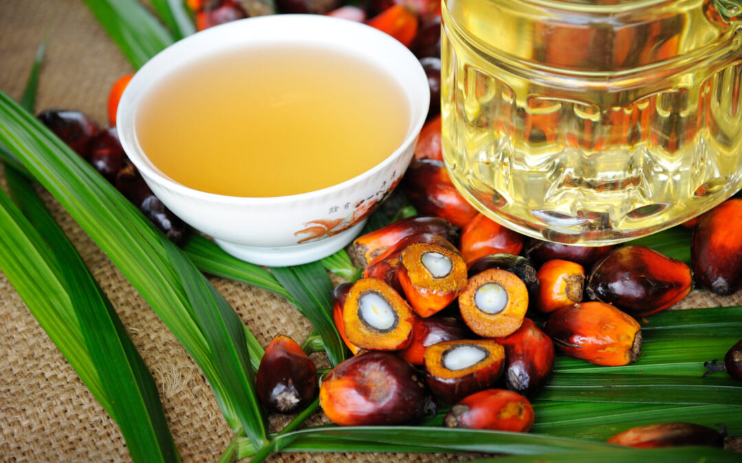 Why Palm Vegetable Oil Prices Fluctuate — And How to Stay Ahead in South Africa’s Market
